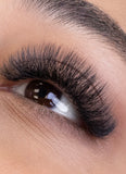 5D U CLOVER FANS: MIXED LENGTHS