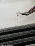 5D U CLOVER FANS: MIXED LENGTHS